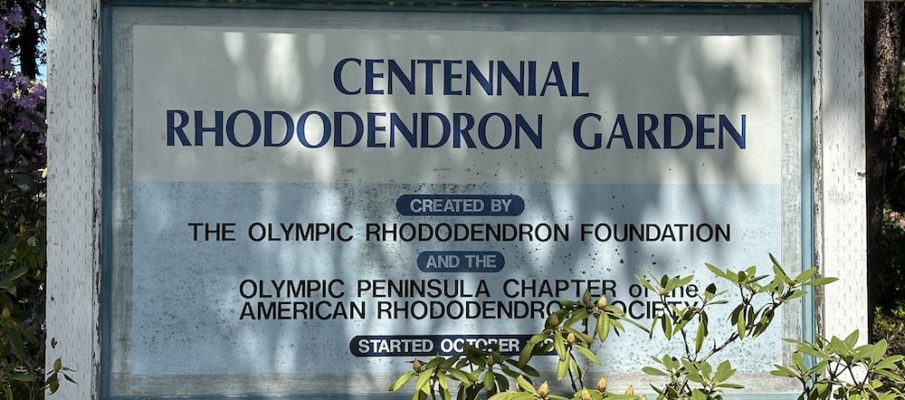 A Visit to the Ft. Worden Rhododendron Garden